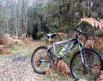 Mountain bike, itinerari per biciclette a Rimini